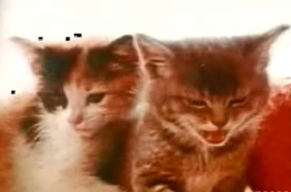 Old Kodak Commercial: Both Cute and Annoying